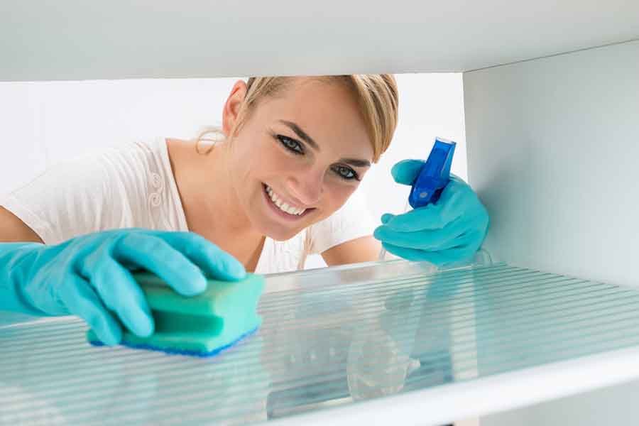 utilize-produtos-de-limpeza-caseiros-para-limpar-a-geladeira