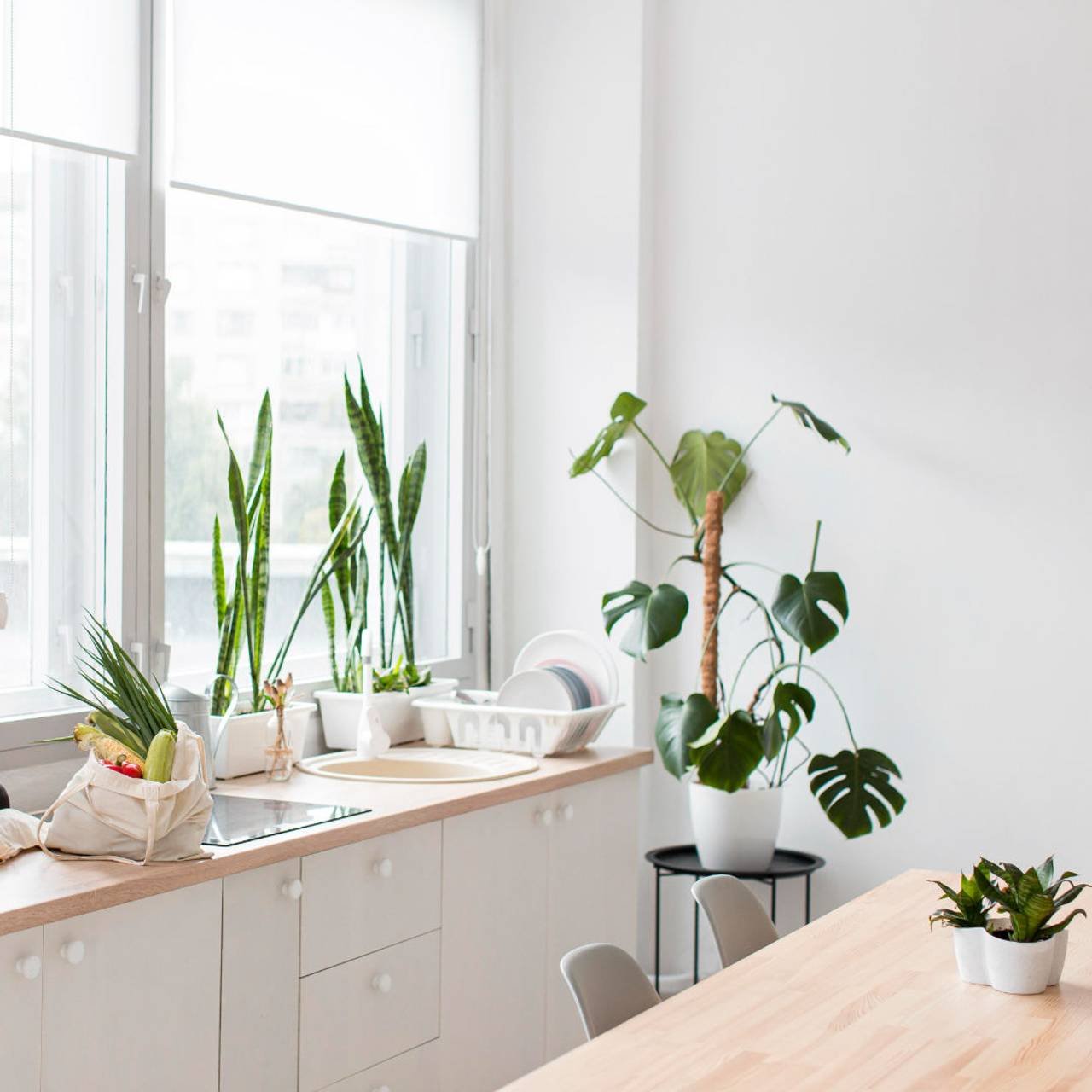 cozinha minimalista elegante com plantas