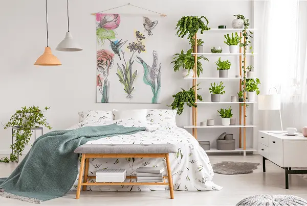 ideias para quarto com plantas 