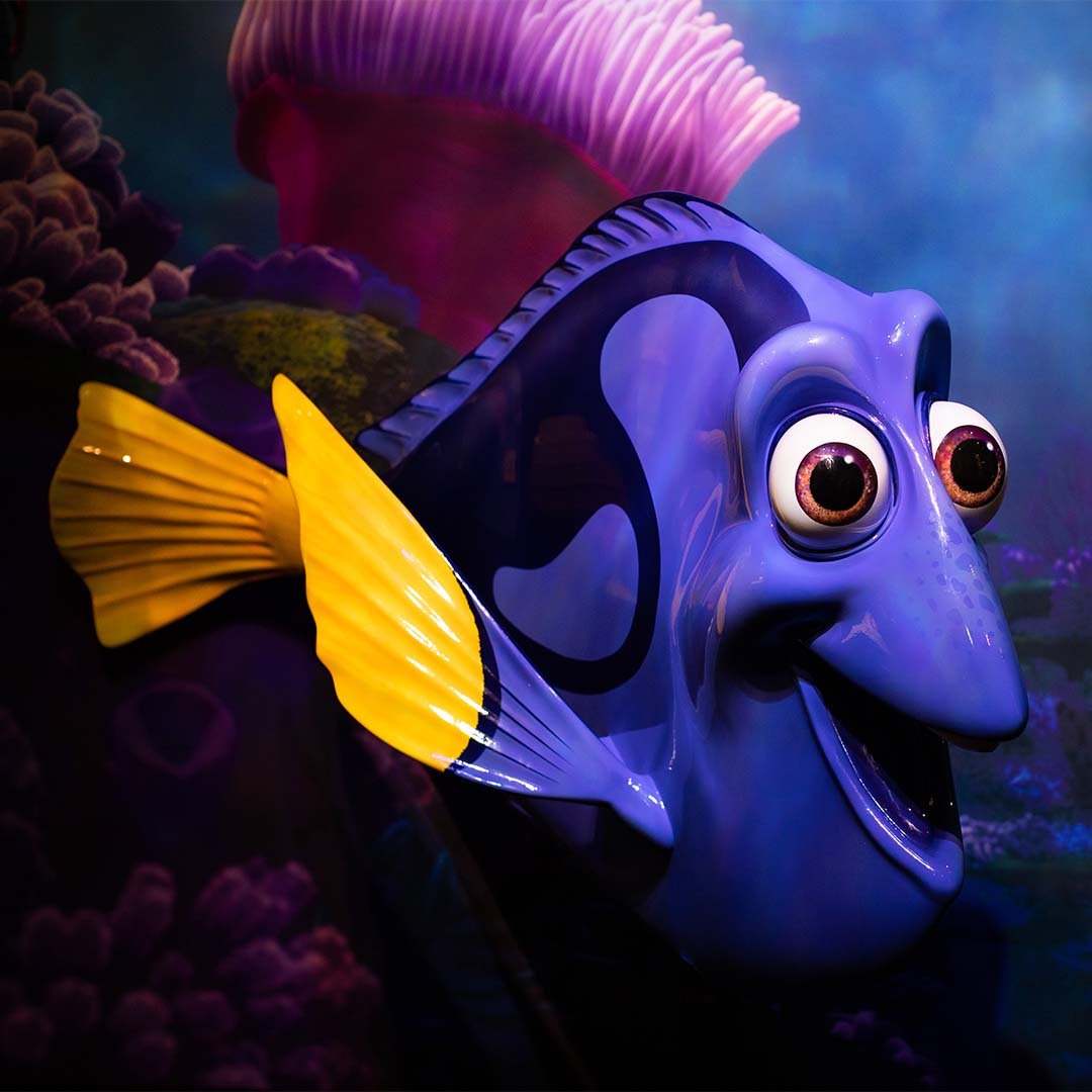 foto da Dory de procurando nemo
