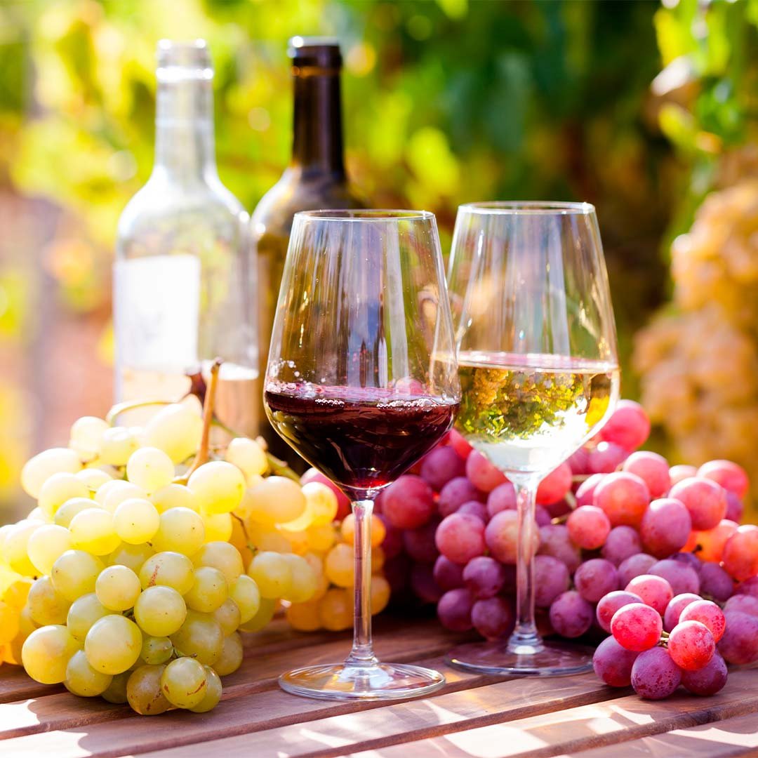 vinho malbec