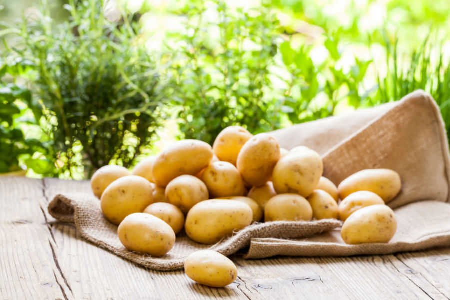 Quer aprender a fazer receitas incríveis de batata na AirFryer? Então confira nossas sugestões e surpreenda-se com estas delícias: