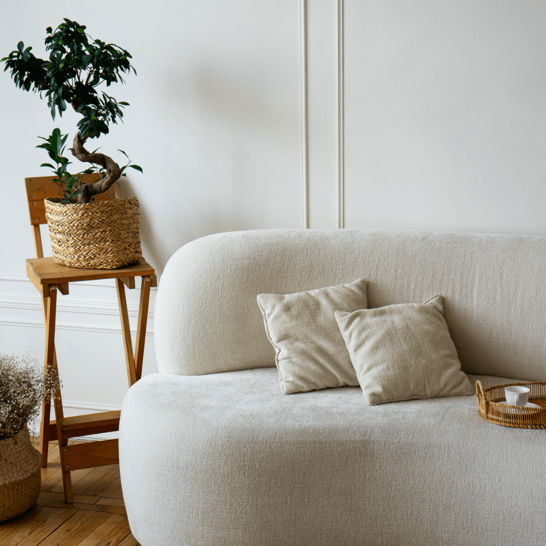 sala com sofá branco de linho, cadeira de madeira e vasos de plantas